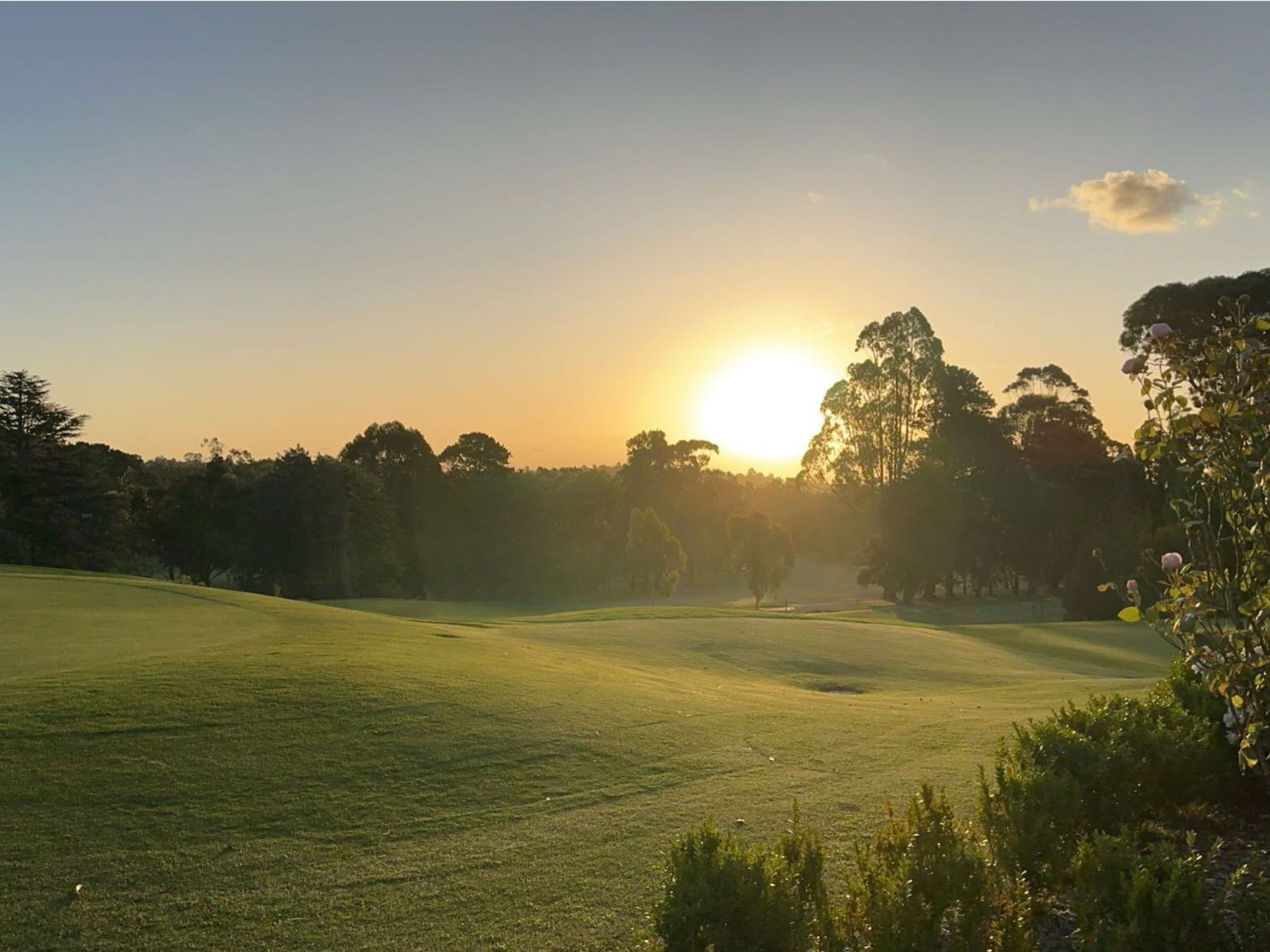 Photos For Members Portal